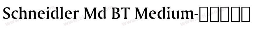 Schneidler Md BT Medium字体转换